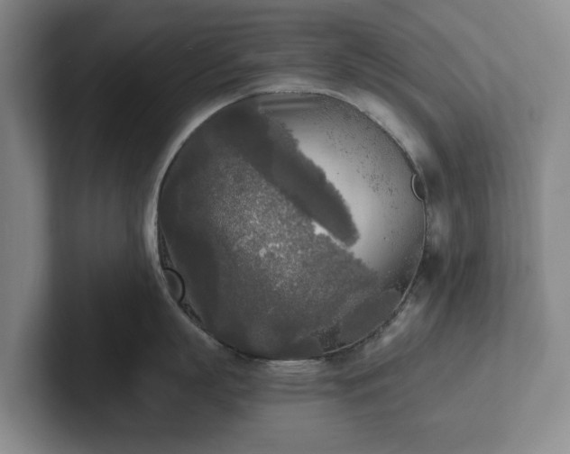 X0000101950863200807251133