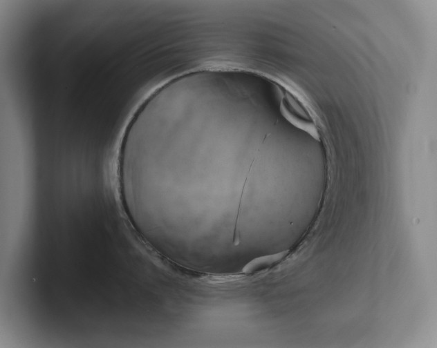 X0000101950864200807251133