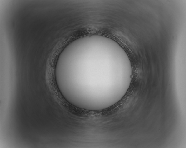 X0000101950865200807251132