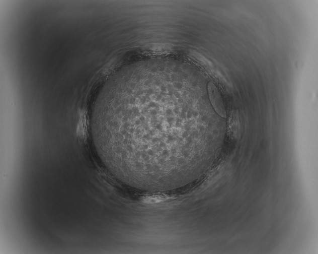 X0000101950866200807251132