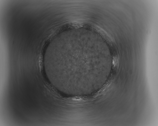 X0000101950867200807251132