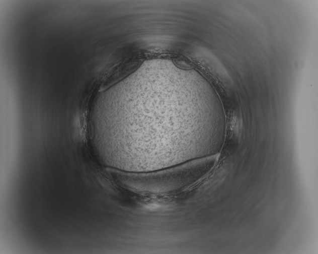 X0000101950868200807251132