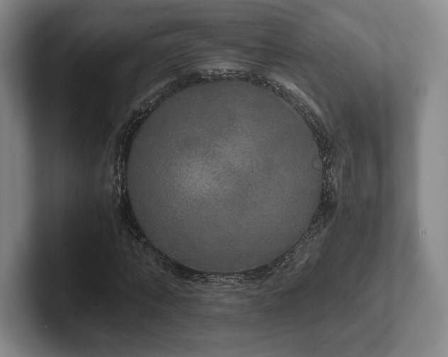 X0000101950870200807251132