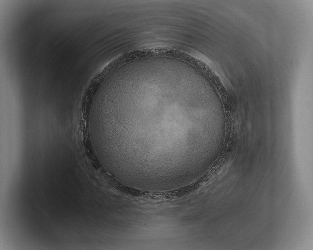 X0000101950871200807251132