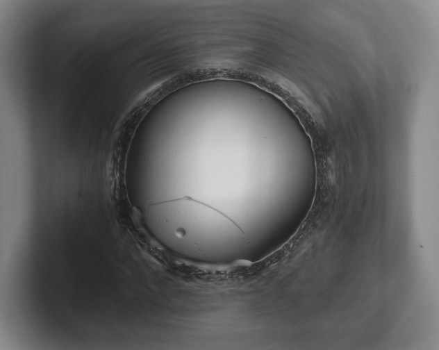 X0000101950872200807251132