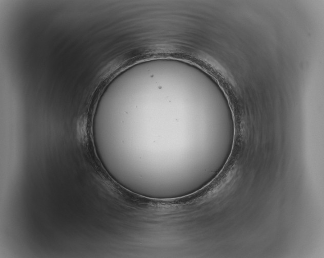 X0000101950873200807251132