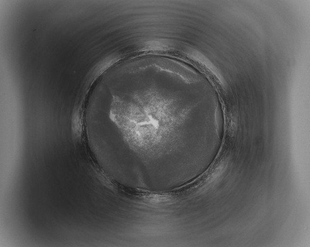 X0000101950874200807251132