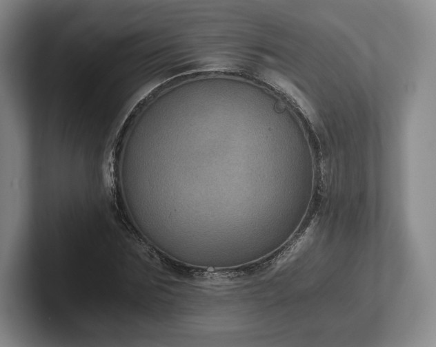 X0000101950875200807251132