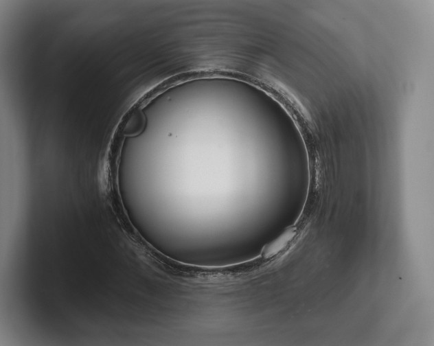 X0000101950876200807251132