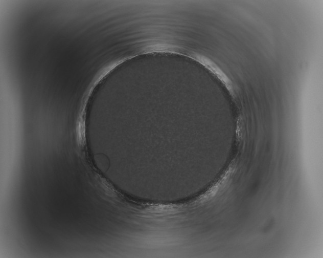 X0000101950877200807251132