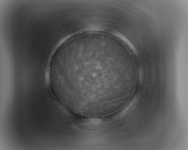 X0000101950878200807251132