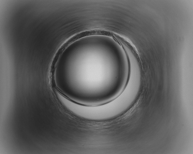 X0000101950879200807251132