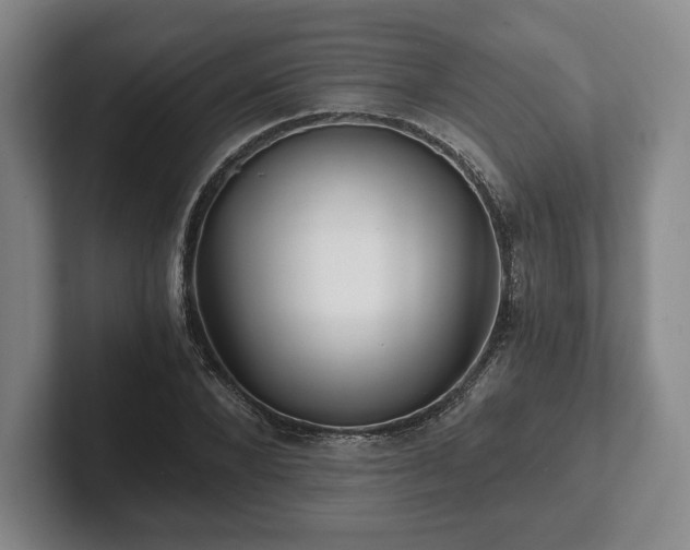 X0000101950880200807251132