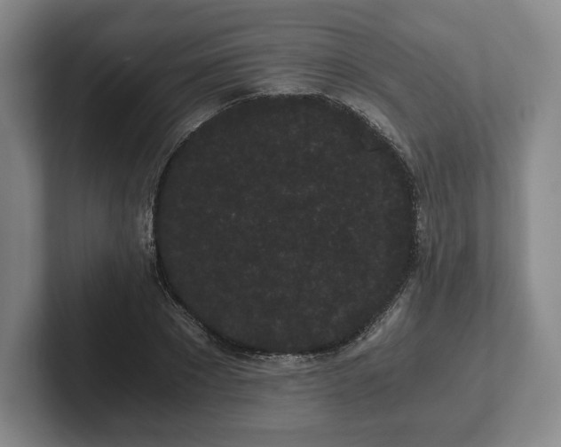 X0000101950881200807251132