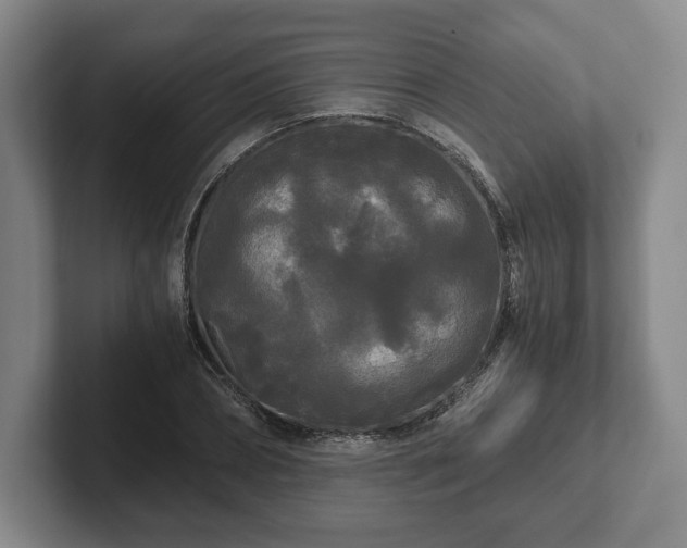 X0000101950882200807251132