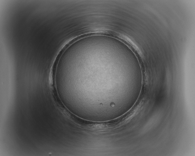 X0000101950883200807251132