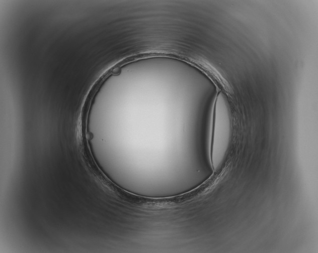 X0000101950884200807251132