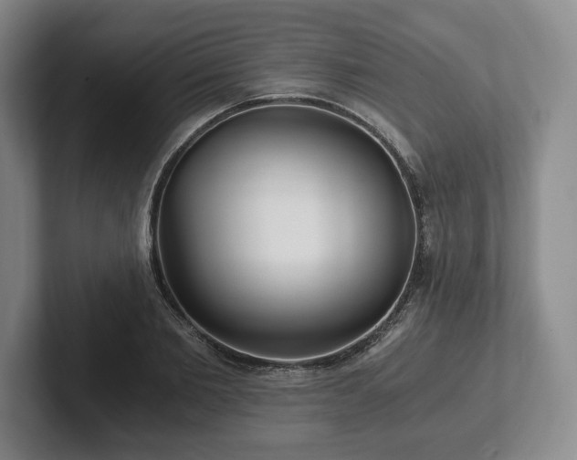 X0000101950885200807251132