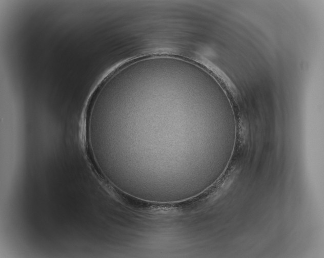 X0000101950886200807251132