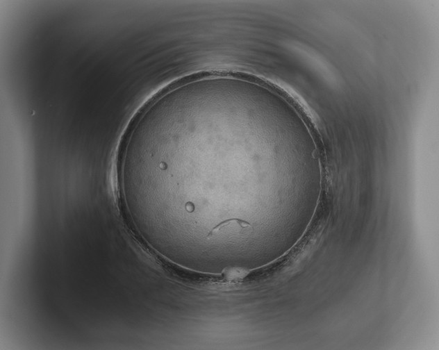 X0000101950887200807251132