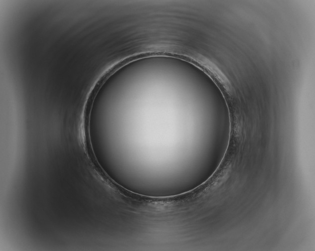 X0000101950888200807251132