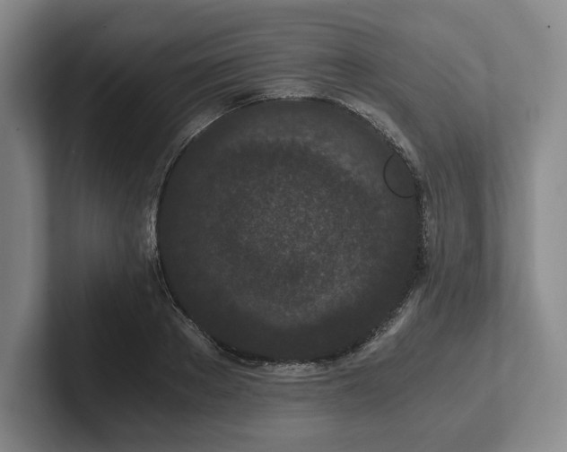 X0000101950889200807251132