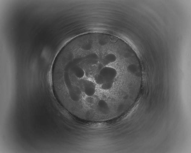 X0000101950891200807251132