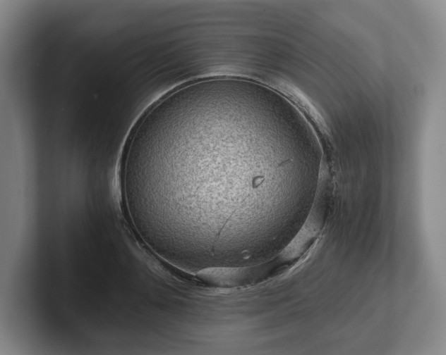 X0000101950892200807251132