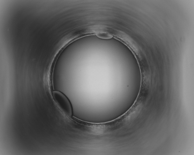 X0000101950893200807251132