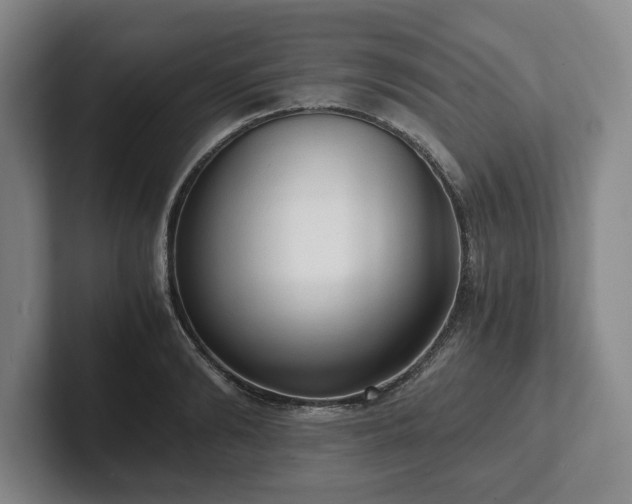 X0000101950894200807251132