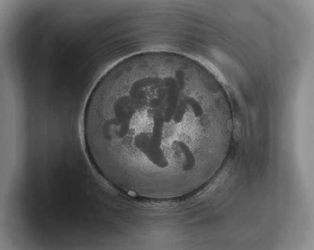 X0000101950895200807251132