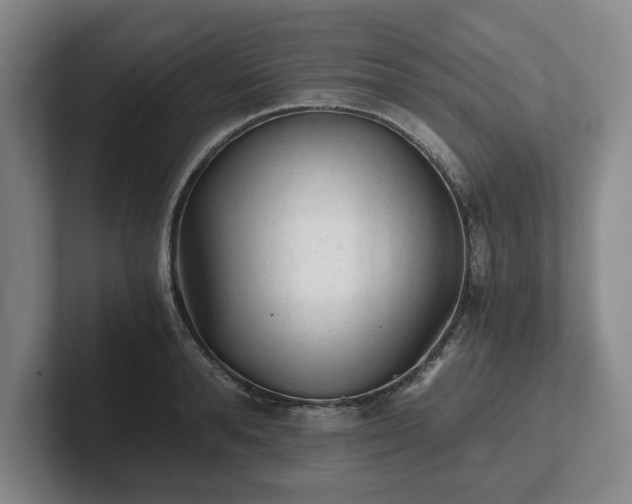 X0000101950896200807251132