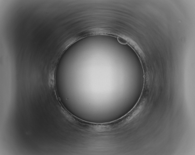 X0000101950897200807251132