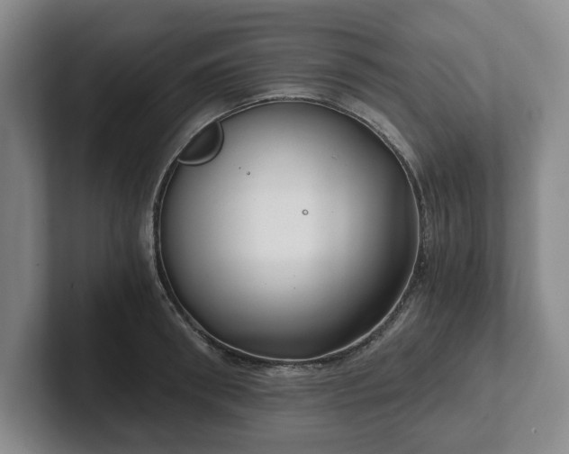 X0000101950898200807251132