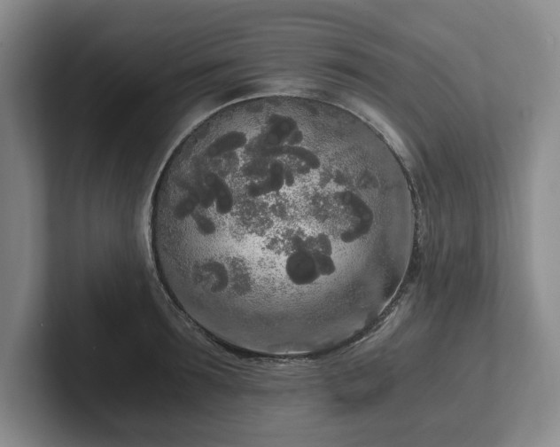 X0000101950899200807251132