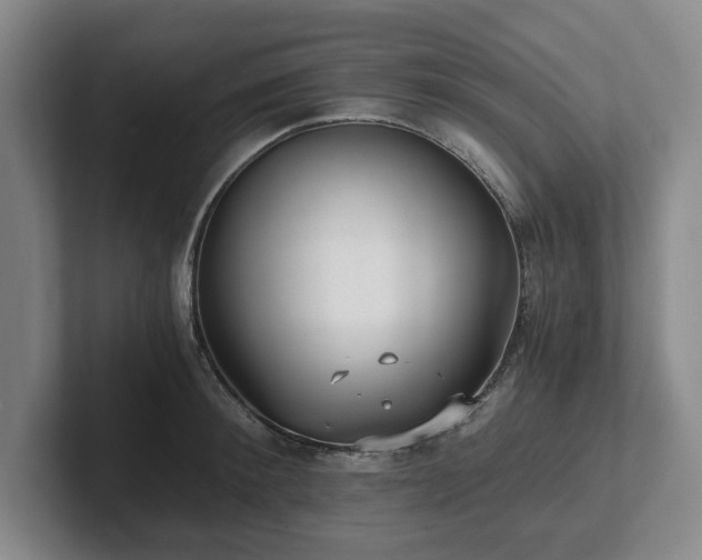 X0000101950900200807251132