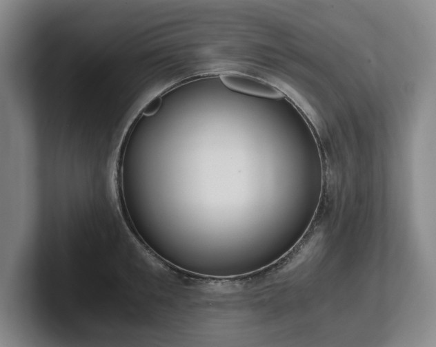 X0000101950901200807251132