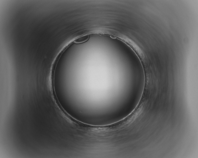 X0000101950902200807251132