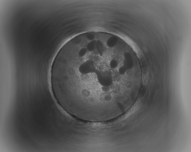 X0000101950903200807251132