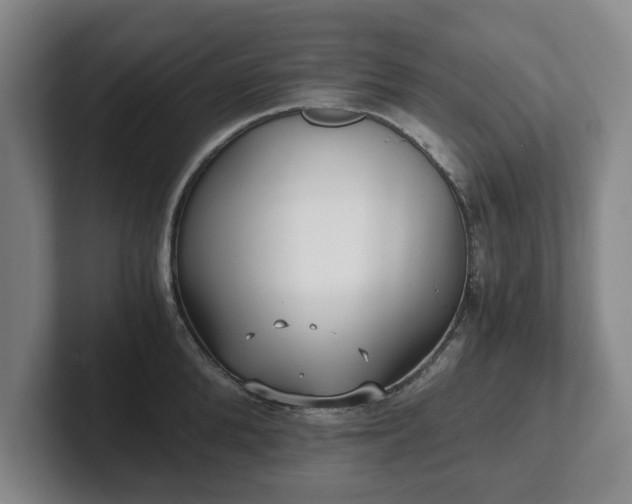 X0000101950904200807251132