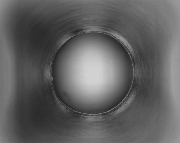 X0000101950905200807251132