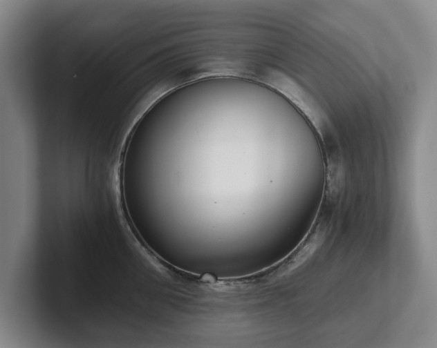 X0000101950906200807251132