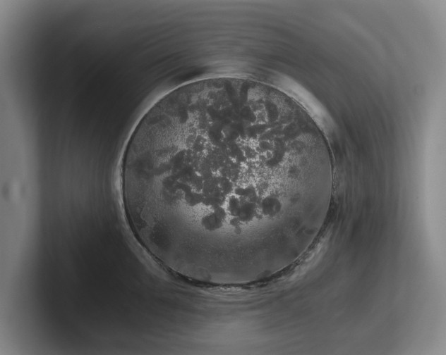 X0000101950907200807251132