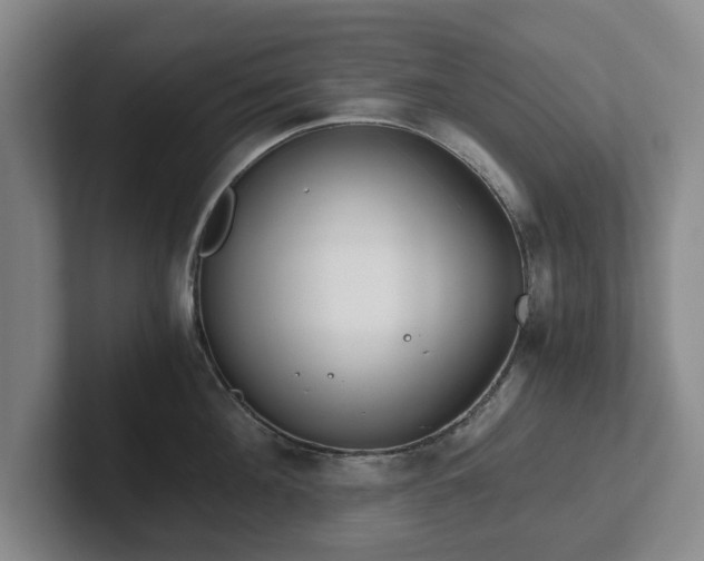 X0000101950908200807251132