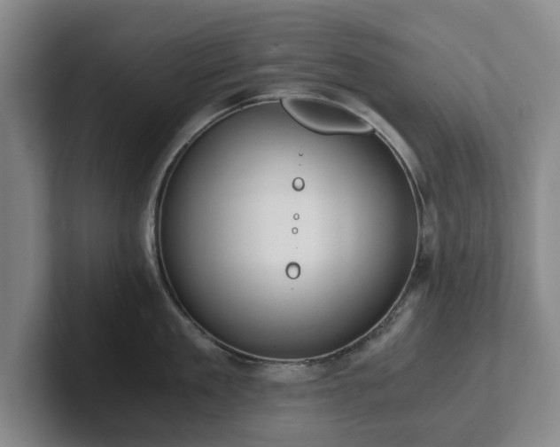 X0000101950909200807251132