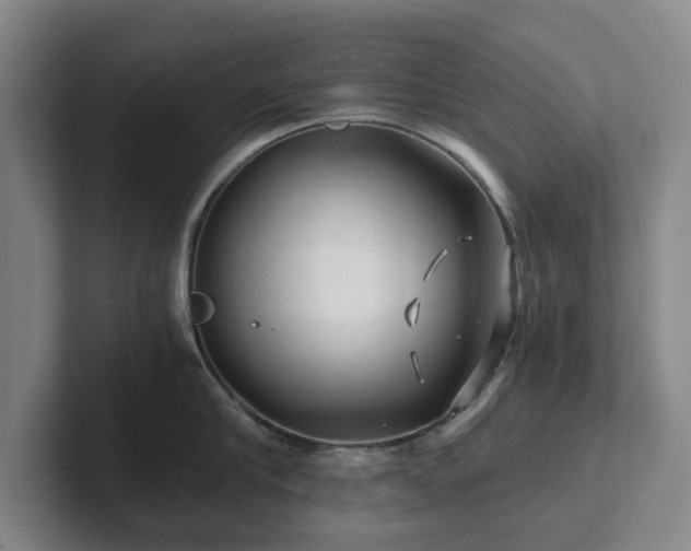 X0000101950910200807251132