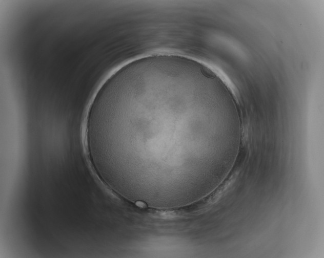 X0000101950911200807251132