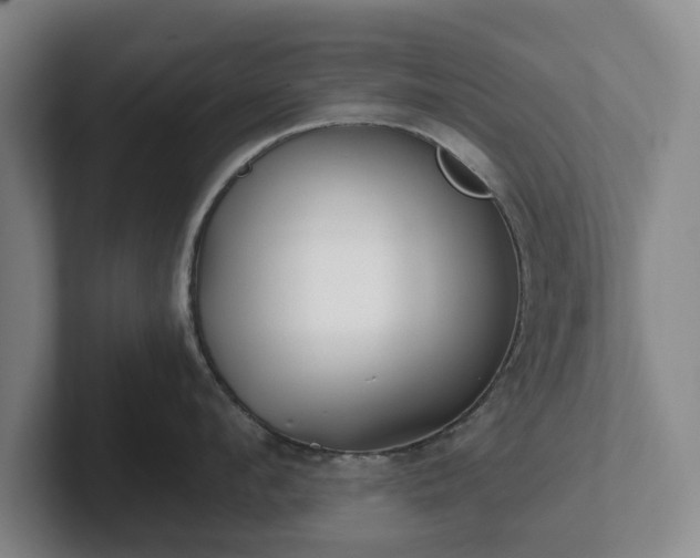 X0000101950912200807251132