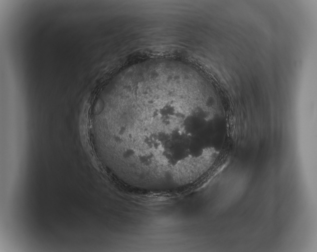 X0000101950913200807251131