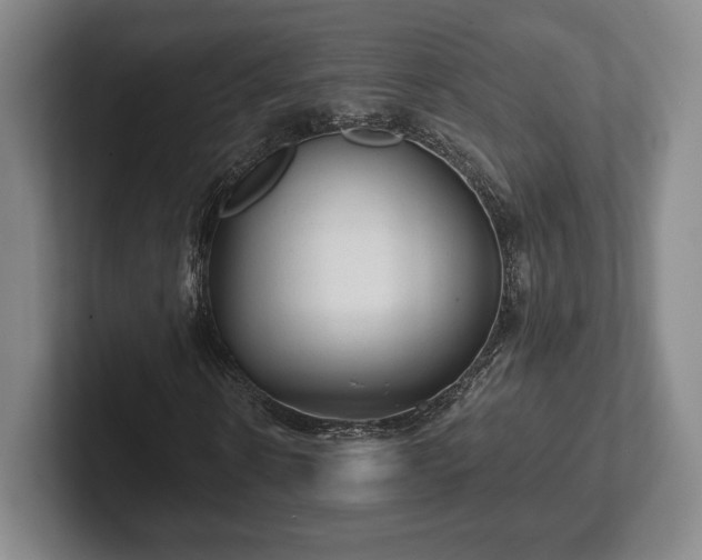 X0000101950914200807251131